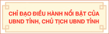 Chỉ đạo điều hành nổi bật