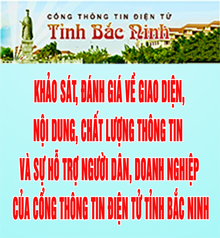 Khảo sát Cổng TTĐT